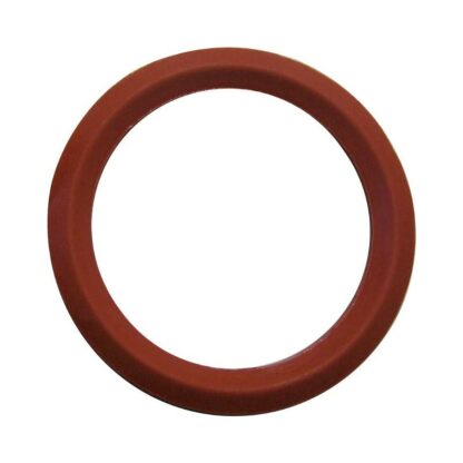14806066 GUARNIZIONE SILICONE PALAZZETTI INSERTI ECOFIRE